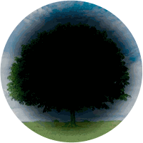 Degeneração Macular Relacionada à Idade (DMRI)